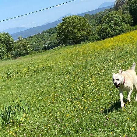 Gite Cocotte Luberon, Forcalquier Pierrerue  ภายนอก รูปภาพ