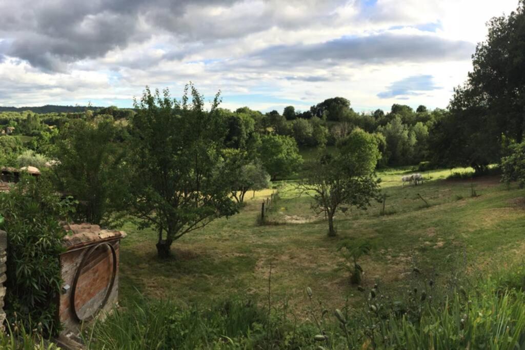 Gite Cocotte Luberon, Forcalquier Pierrerue  ภายนอก รูปภาพ